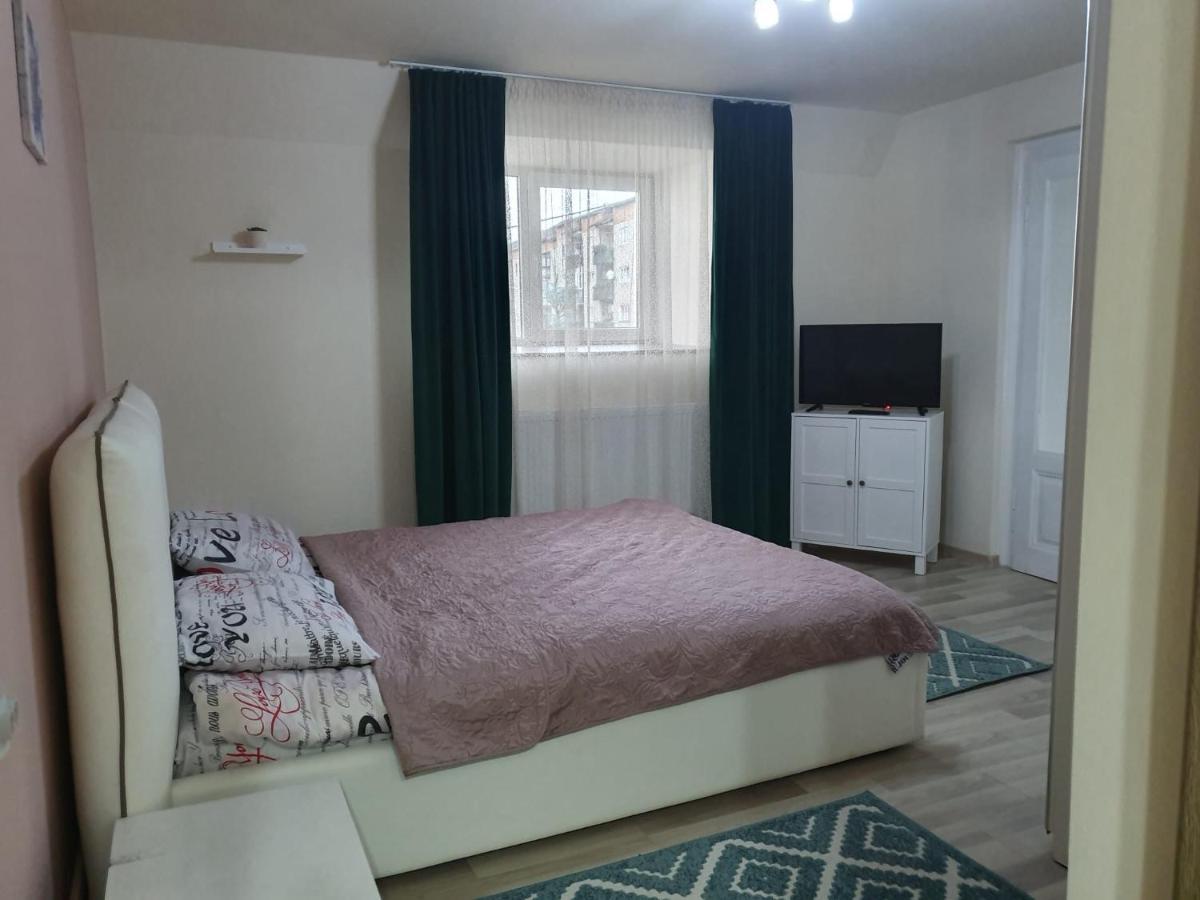 Villa Coca Câmpulung Moldovenesc Exteriér fotografie