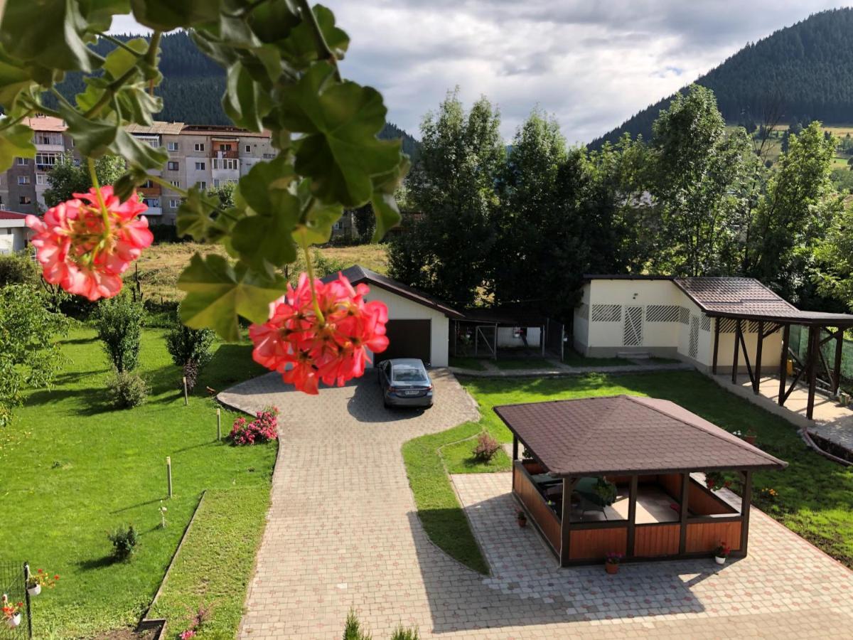 Villa Coca Câmpulung Moldovenesc Exteriér fotografie